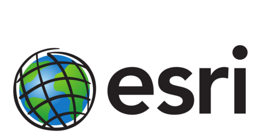Das Logo von esri